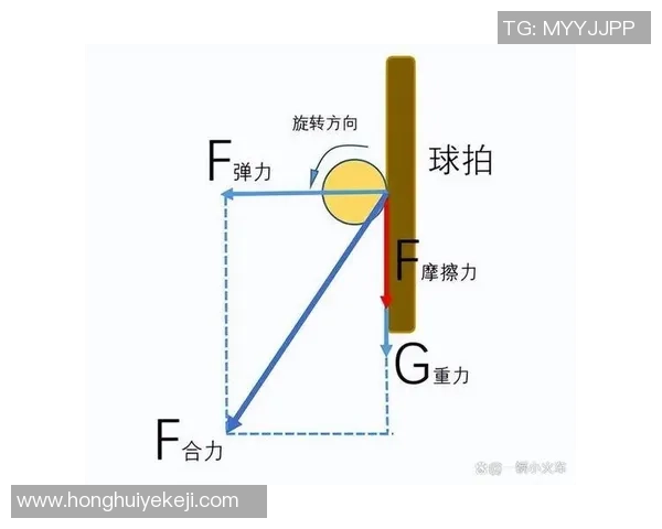 乒乓球新手必看：从基础技巧到个人能力提升的全面入门指南